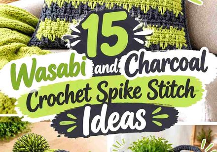 15 Wasabi and Charcoal Crochet Spike Stitch Ideas